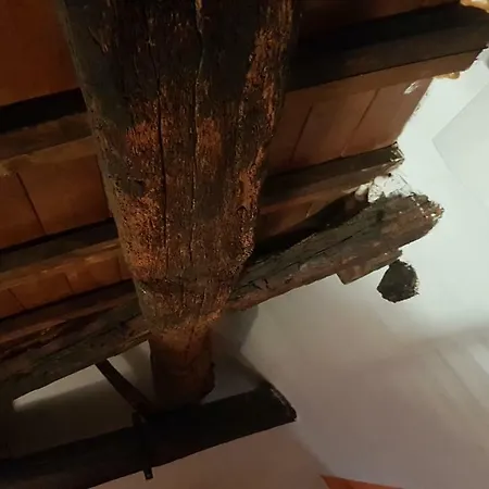 아파트 Casa Angelo 페라라